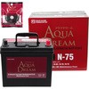 AD-N-75-TG �A�C�h�����O�X�g�b�v�ԗp PLATINUM CAR BATTERY(�^�[�~�i���K�[�h�t��) AQUA DREAM(�A�N�A�h���[��) 54045189
