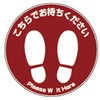 54085073