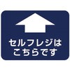 54085484
