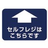 54085527