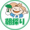 54116065