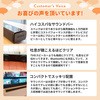 400-SP081 Xs[J[ T_CNg 54120509