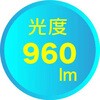 54169459