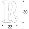 54302807