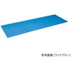 ヨガマット YKシリーズ 秦運動具工業 (HATAS)