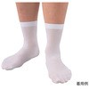 ディスポソックス 50足入 プロシェア(ナビス/アズワン)
