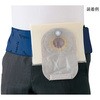 訓練用モデル ナビトレ ストマケアモデル プロシェア(ナビス/アズワン)