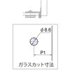 54561204