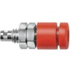 Schutzinger テストソケット 真鍮 17.5mm 赤 Schutzinger