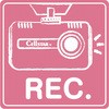 ドラレコステッカー セルスター