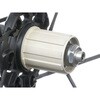 SPARES FH-BO015X1/HG 10/11s フリーボディ Campagnolo(カンパニョーロ)