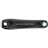 353660002 RECORD NN EggN 12s(19`) Campagnolo(Jpj[) 54708737