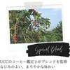 DPSB002 UCC DRIP POD Ӓm̌ւXyVuh 12P UCC(㓇) 46234766
