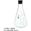 010530-2000 三角フラスコ(SIBATA) SIBATA(柴田科学) 54935433