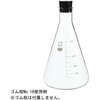 010530-3000 三角フラスコ(SIBATA) SIBATA(柴田科学) 54935449