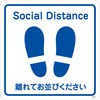 54936684