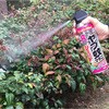 - u}_jWFbg Op 480mL A[X 54984353