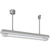 防爆形直管LEDランプ照明器具 1灯用 パイプ吊形 岩崎電気 直管型LED 