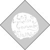 54997243
