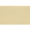 55031656