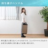 YEC-LD032C 家庭用スポットクーラー YAMAZEN(山善) 55096145