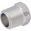 IZ-SBNP-304_8AX6A 304 ブッシング  NPT×PT 井筒製作所 55127776