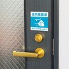 55137277