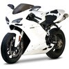 2072902 �X�N���[�� SR�^�C�v �X���[�N DUCATI 848 08-13 ZEROGRAVITY(�[���O���r�e�B�[) 55258255