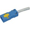 EA815GK-221 ^bv GXR 55263147