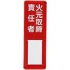 EA983CK-23 W 300x100mm GXR 55267478