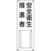 EA983CK-30 W 300x100mm GXR 55267496