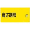 EA983FK-221 W 300x600mm GXR 55267654