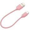 PG-CUC01M04 USB Type-C USB Type-A �R�l�N�^ USB�P�[�u�� PGA 55269909