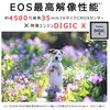 EOSR5 ~[XJ EOS R5 Canon 55275475