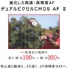 EOSR5 ~[XJ EOS R5 Canon 55275475