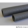 55294016,55294025