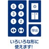 55307544