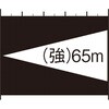55313888