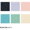 SNC-080BK `FA TTvC 55313896