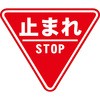 55327765