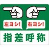 55327817
