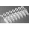 PCR8連チューブ0.2mL 透明(小口パック) PCR-0208シリーズ AXYGEN