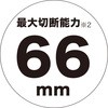 55546996