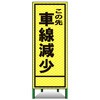 55554504