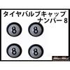 55602917