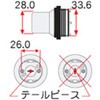 55625036