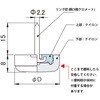 55640043