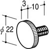 55750117