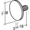 55750205