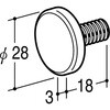 55750284